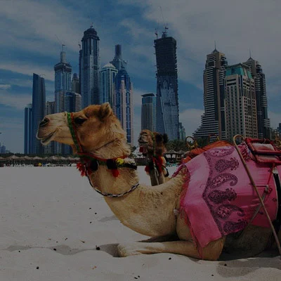 InstaUAEVisa.org InstaUAEVisa.org